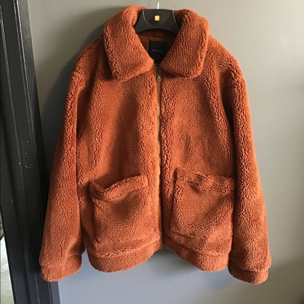 Teddy bear coat